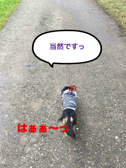 BlogPaint