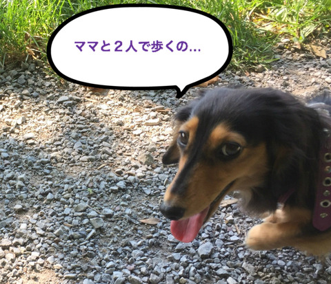 BlogPaint