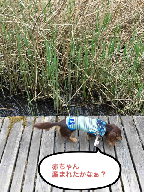 BlogPaint