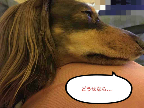 BlogPaint