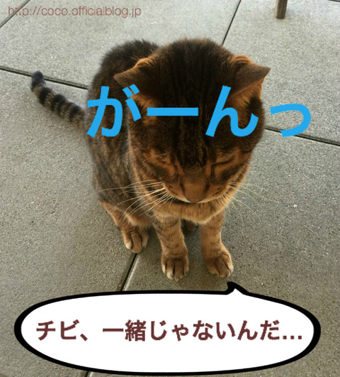 BlogPaint