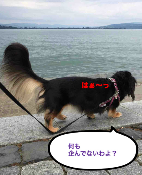 BlogPaint