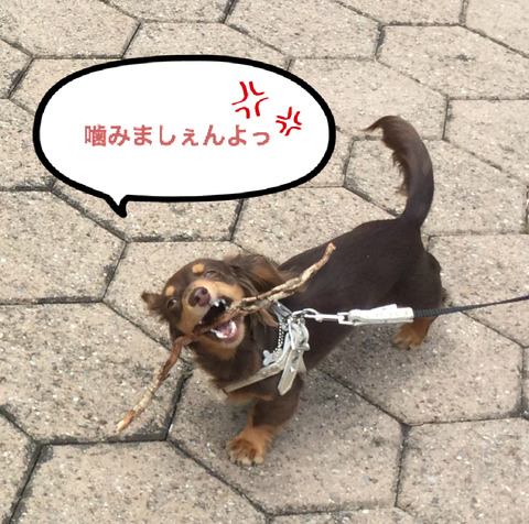 BlogPaint