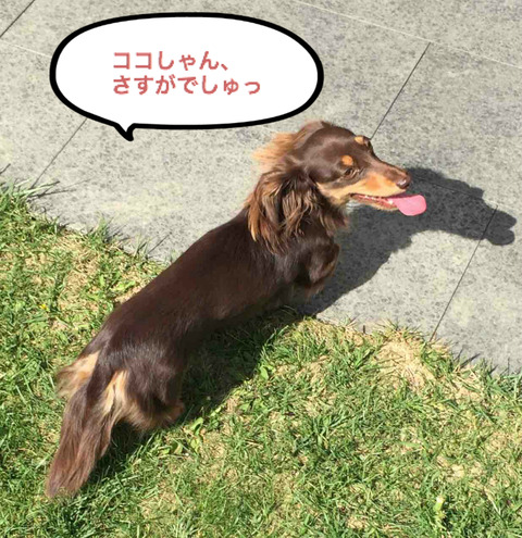 BlogPaint