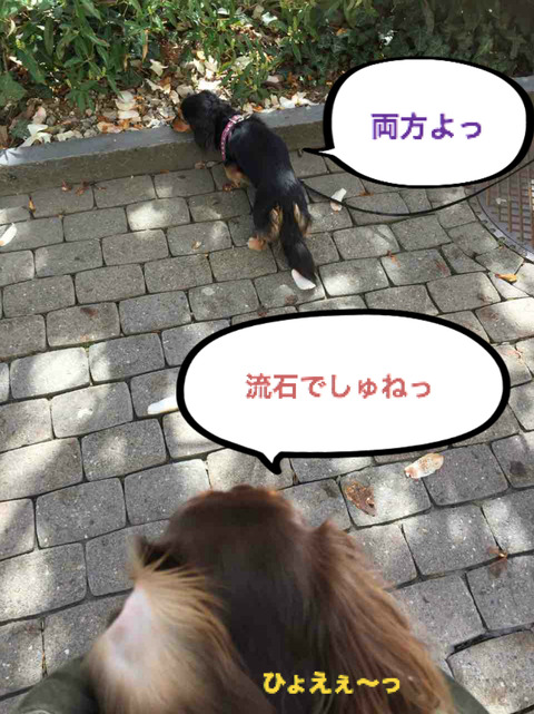 BlogPaint