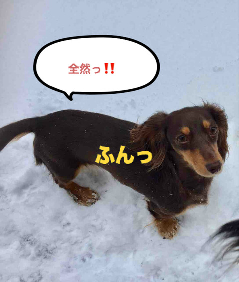 BlogPaint