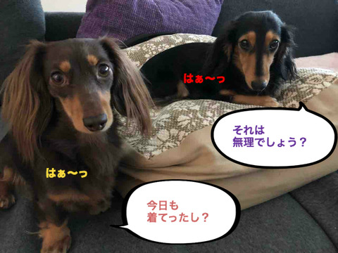 BlogPaint