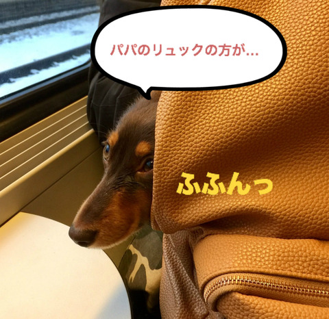 BlogPaint