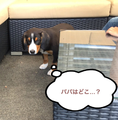BlogPaint