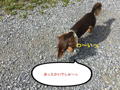 BlogPaint