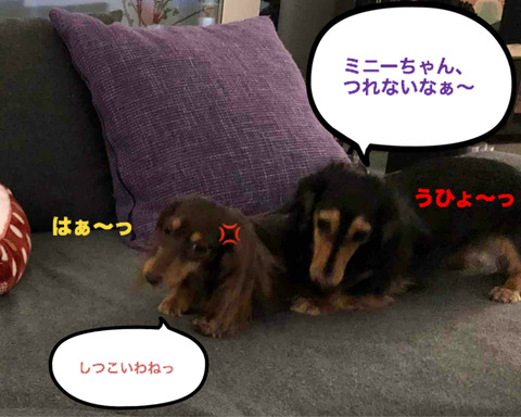 BlogPaint