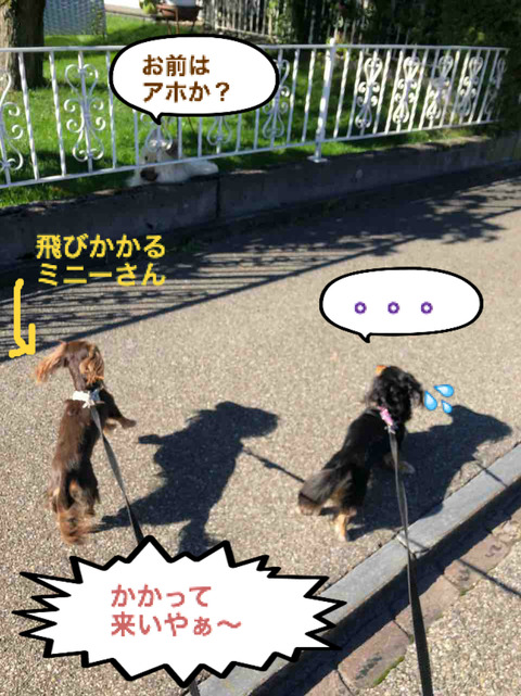 BlogPaint