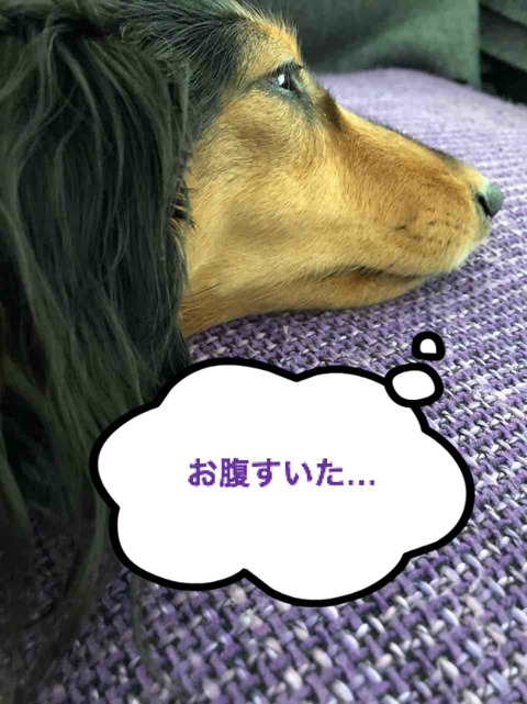 BlogPaint