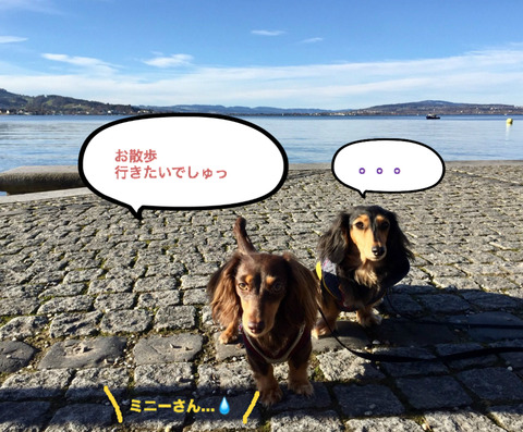 BlogPaint