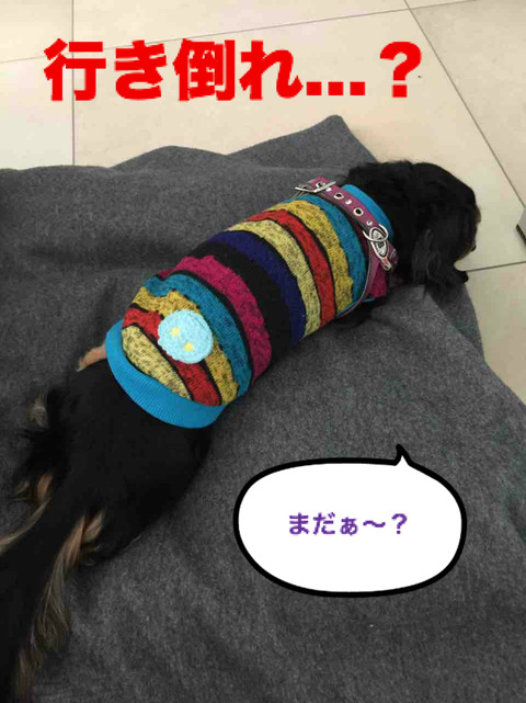 BlogPaint