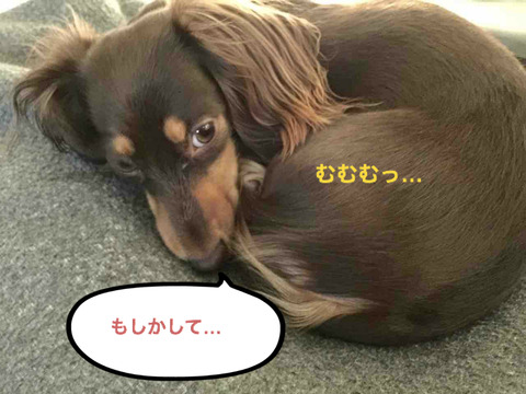 BlogPaint