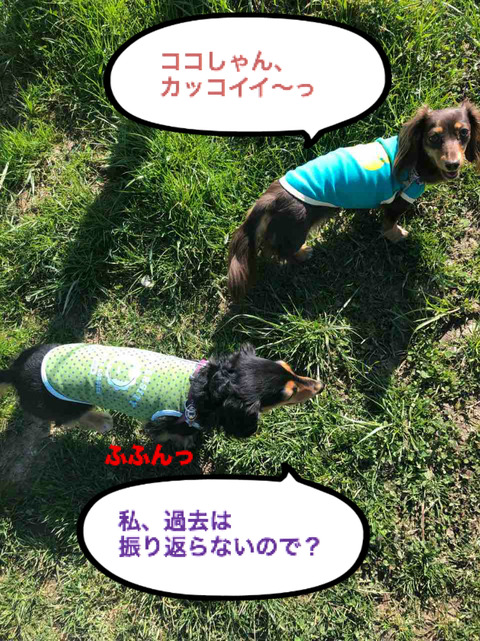 BlogPaint