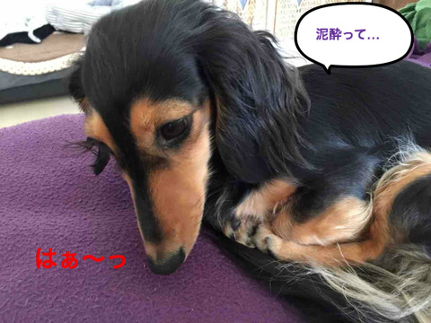 BlogPaint