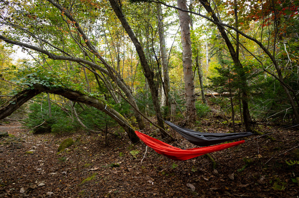 【新品未使用】EXPED/Travel Hammock Lite Kit EXPED/Travel Hammock Lite Kit | SUNDAY web STORE