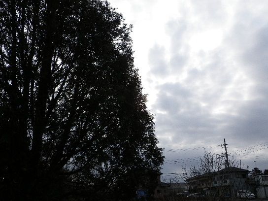 IMGP1189