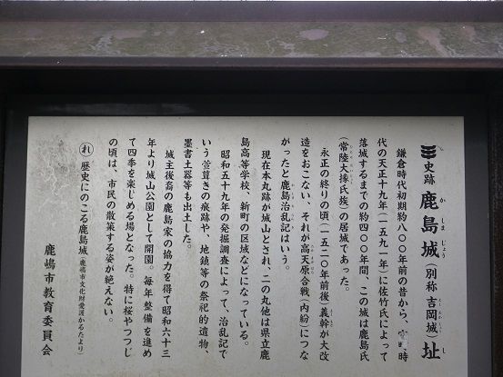 IMGP4221a