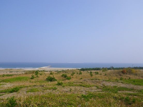 IMGP3382