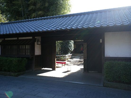 IMGP4245