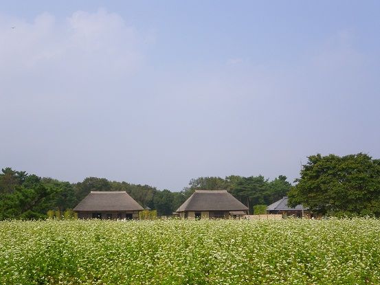 IMGP3362