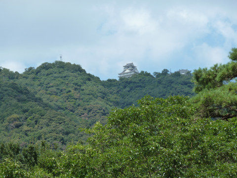 岩戸公園から岐阜城
