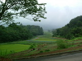 04041f31.jpg