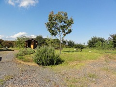 s-DSC06983