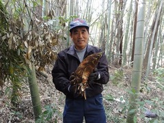 s-DSC03433