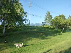 s-P1140200