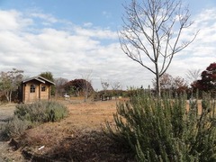 s-DSC09440