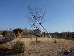 s-P1110551