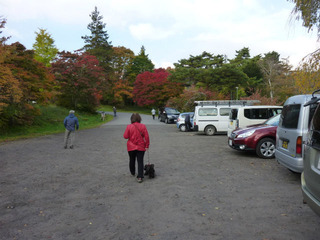 sP1100066