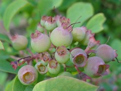 s-DSC04142