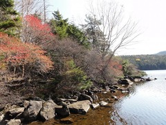 s-DSC00674