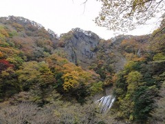 s-DSC08812