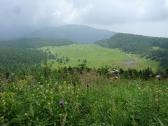 s-P1140103