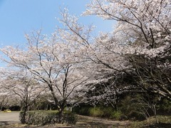 s-DSC03163