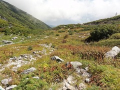 s-DSC07182