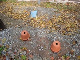 345b2956.jpg
