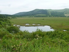 s-P1140216