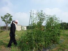 s-P1130981
