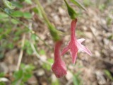 3b532579.jpg