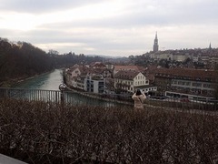 s-P1150224