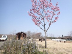 s-P3300009