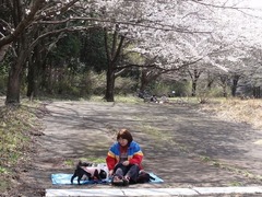 s-DSC03166