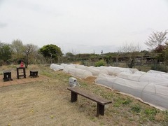 s-DSC03534